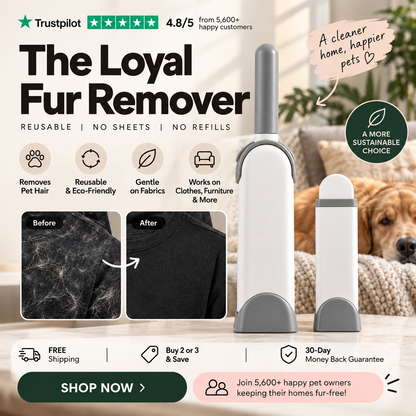 Loyal Fur Remover